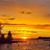 Robin Beale Koster's profile image