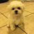 Deb Talley's profile image