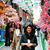 Samantha Stratas Townsend's profile image