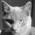Gordon Wagner's profile image