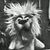 Donna Fimiani Maher's profile image