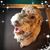 Rosalyn Stein's profile image