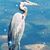 Fonda Graybeal's profile image
