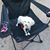 Cindy Hood's profile image