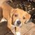 Marlene Auger's profile image