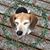 Kim Kesselring's profile image