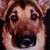Billy Mcbride Jr.'s profile image