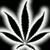 John Breez's profile image