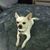 Necole Breazeale's profile image