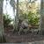 LaDonna Hebert's profile image