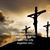Kari Lyn Merry's profile image
