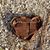 Melissa Bracken's profile image