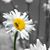 Bonnie DeMuth's profile image