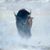 Daphne Martin's profile image