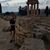 Marisol Fortunato's profile image