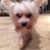 Susan Melton's profile image