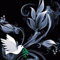 Carole Hillen-Bescos's profile image