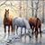 Paula Sullivan's profile image