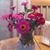 Ilene Kelsey Brant's profile image