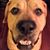 Merrin Austin's profile image