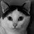 Carolyn Coffield McNally's profile image