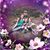 Suzanne Webster's profile image
