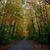 Catherine Schneider's profile image