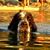 Cigaloux Var's profile image