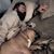 Jesse Godsey's profile image