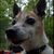Charles Greer's profile image