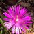 Jane Truxess's profile image