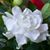 Catherine Cardwell's profile image
