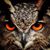 Siavash Amirabedin's profile image