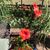 Cathy Croley's profile image