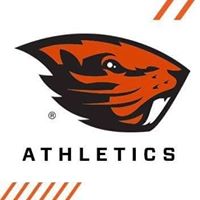 Matthew Drew's profile image