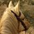Deborah Martin's profile image