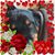 Polly Workinger's profile image