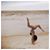 Tasha Borowec's profile image