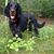 Fred Goodine's profile image