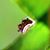 Jonathan Lucas's profile image
