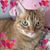 Sue Schoenfeld's profile image
