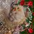 Roni Limon Faxon's profile image