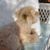 Marie ReRe Pedri's profile image