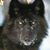 Randy Womock's profile image