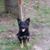 Demetrio A Preston's profile image