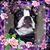 Sherry Lee Byers's profile image