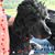 Karen Sykes's profile image