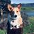 Jenifer Beasley's profile image