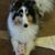Terri Toohil's profile image