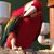 Derwin Langley's profile image